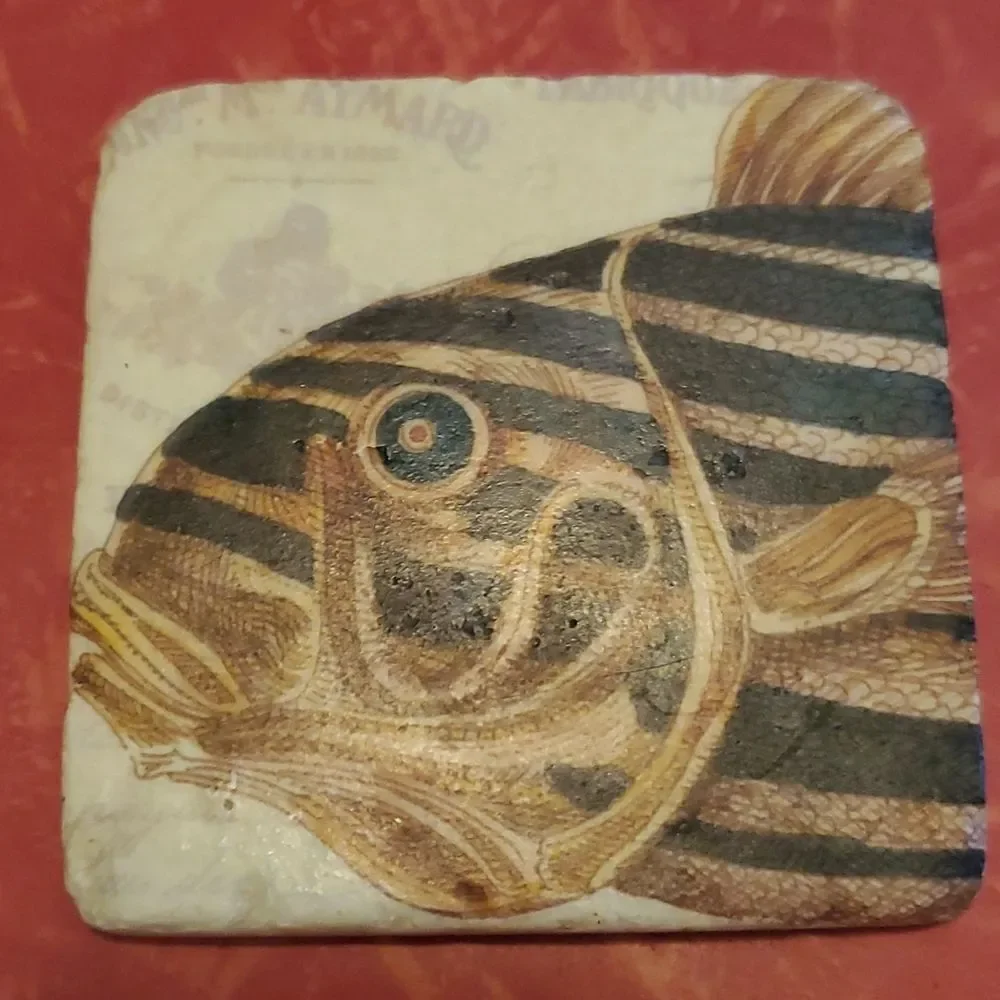 Tim Coffey Fish Sone Coasters Set of 4 Cork Backs Fishing Man Cave Marine Life